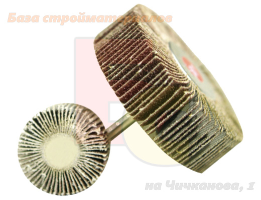 Disk_lepestkovyj_80x25mm_P80_2031008