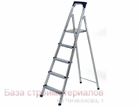 Stremyanka_metallicheskaya_5_stupenej
