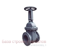 Zadvizhka_30s41nzh_d_100_voda_Promenergo